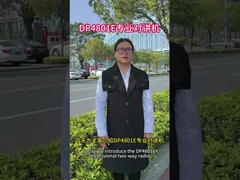 P8668i digitale explosionssichere Hochleistungs-Interkom DP4801E