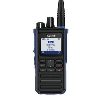 Caltta RH556 IP68 Wasserdichtes digitales Walkie-Talkie 5W UHF VHF